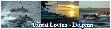 Pantai Lovina - Wisata Dolphin
