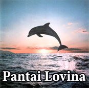 Pantai lovina - Bali dolphin